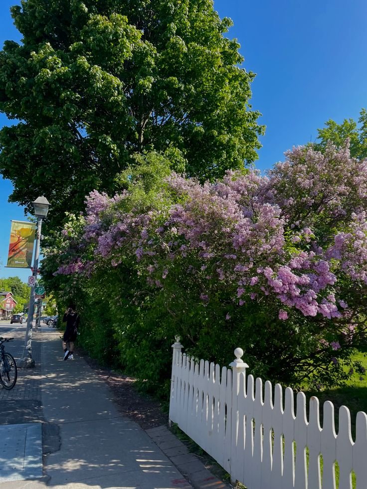 Gilmore Girls Town Guide for Fan Experiences in New England